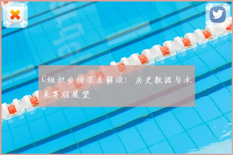 C组积分榜深度解读：历史数据与未来赛程展望