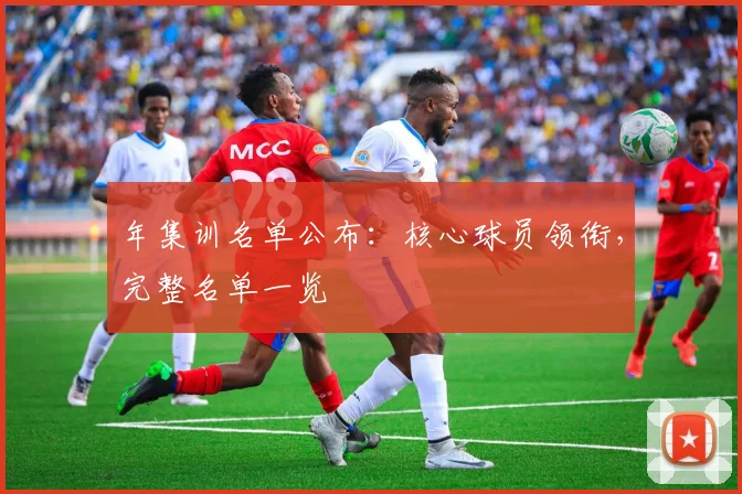 年集训名单公布：核心球员领衔，完整名单一览